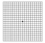 amsler grid 20