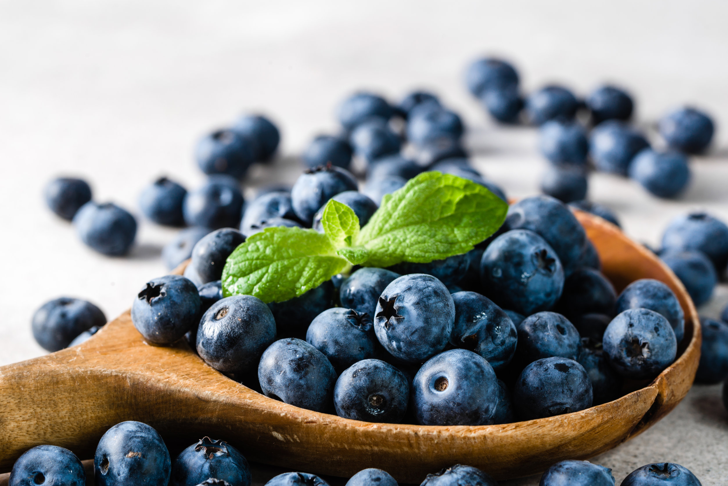 antioxidant berry