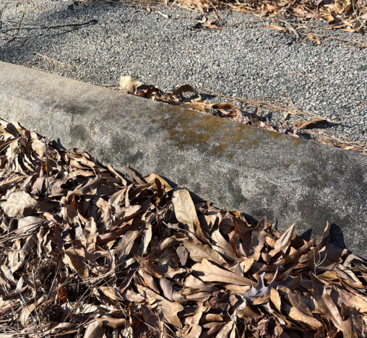 smaller curb with leaves