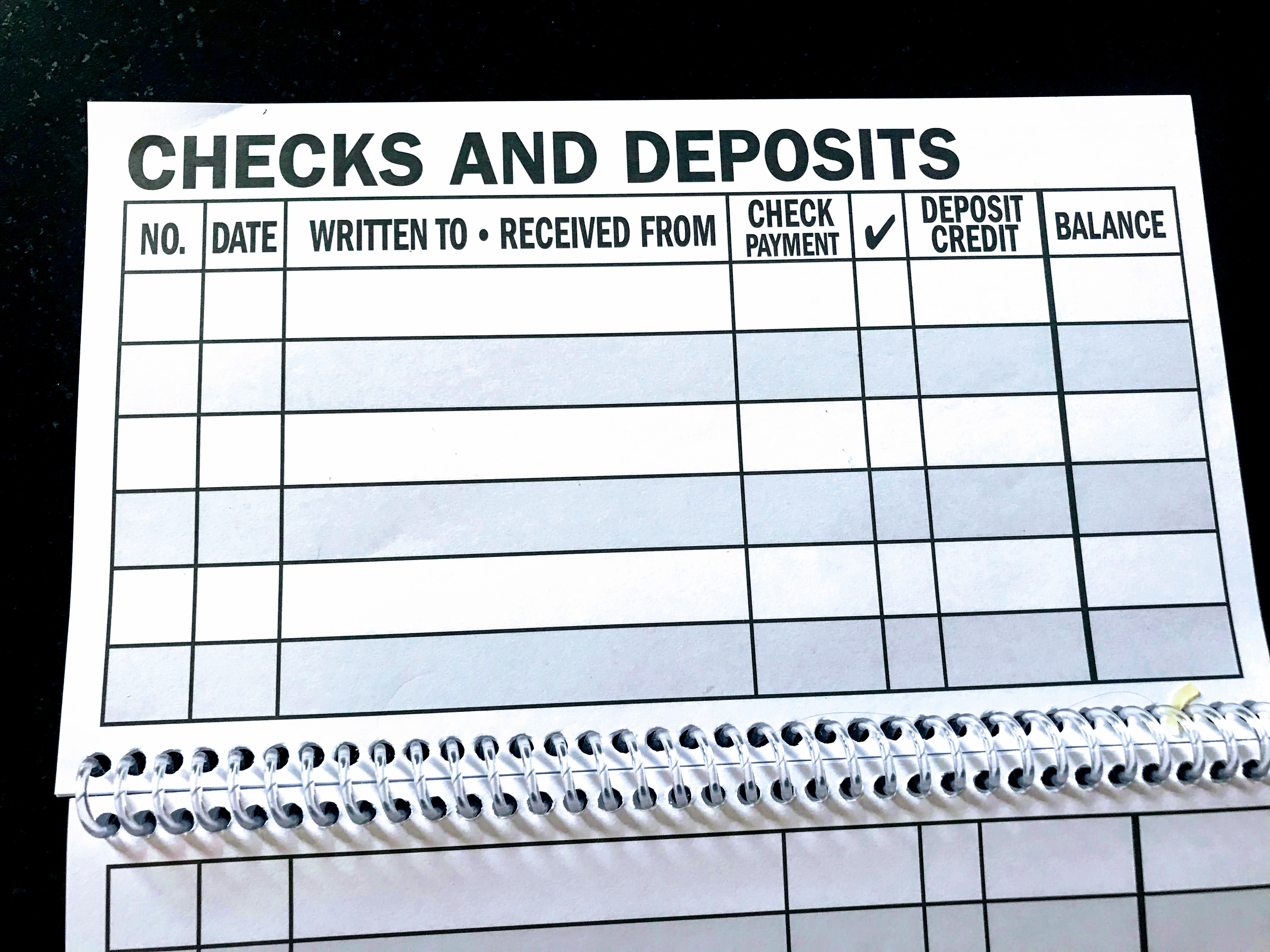 large print check register