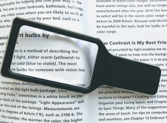 hand held magnifying glass