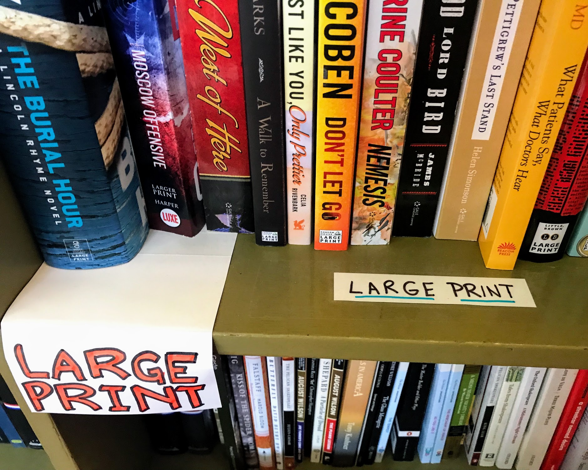 large print books meaning