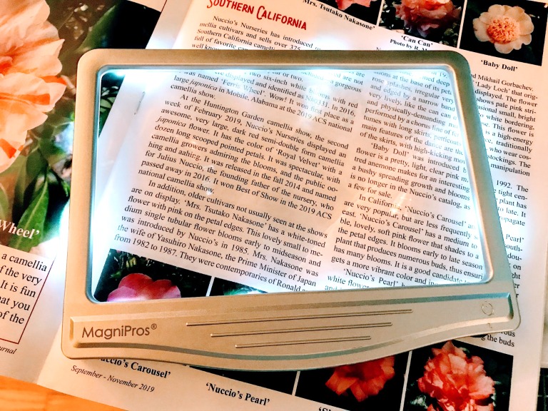 Book Magnifier - What's The Best Reading Magnifier for Those with AMD