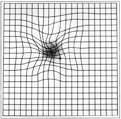 Amsler Grid Vision Test Magnet