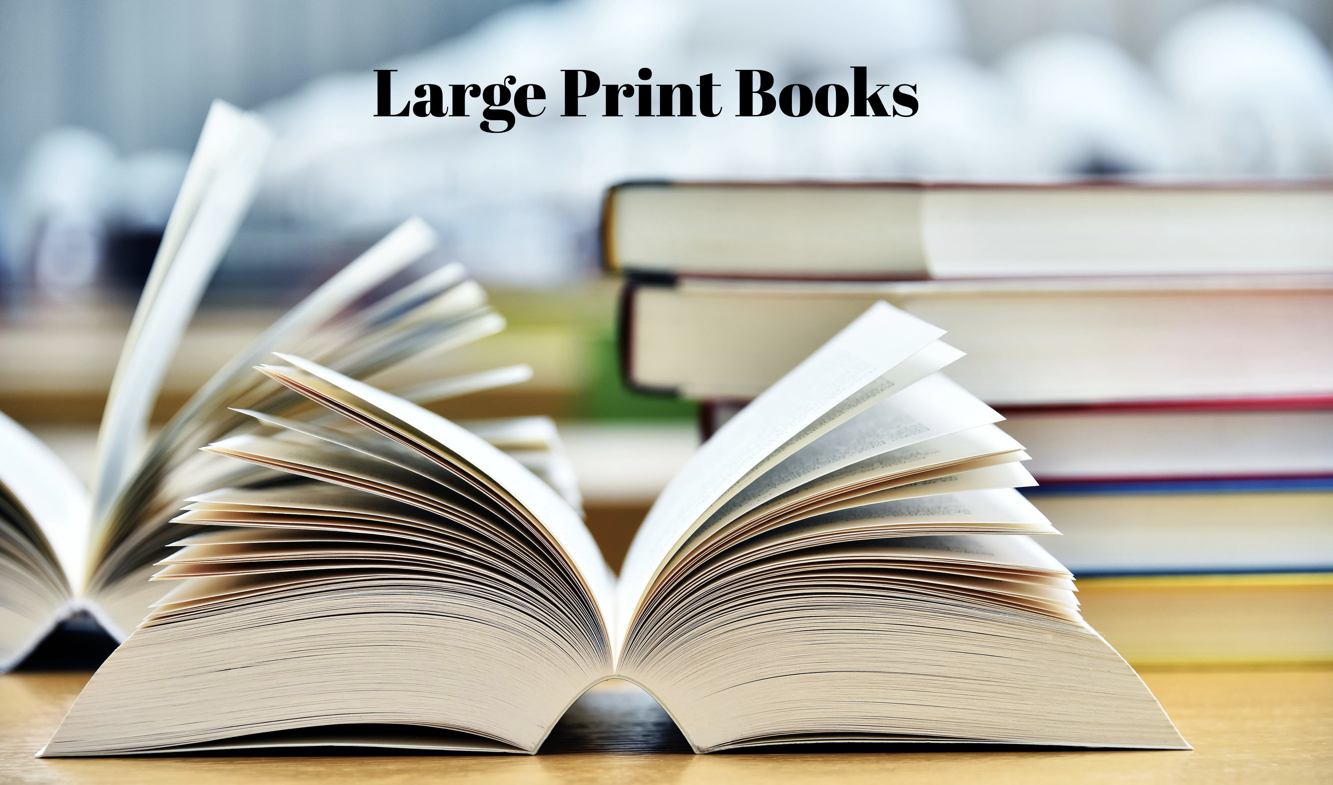 large print books