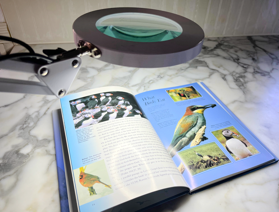 clamp on lighted magnifier magnifying bird book