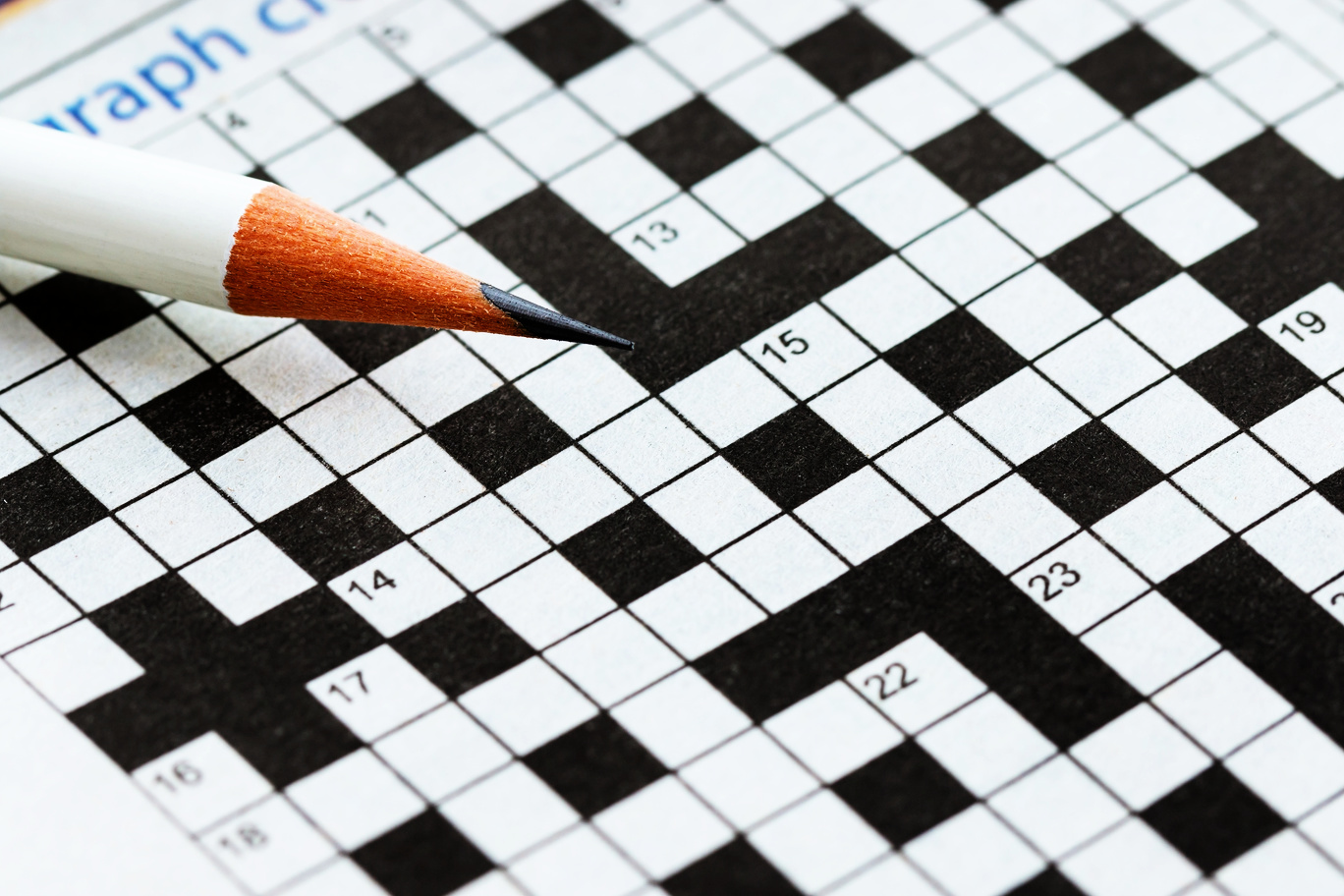 large print crossword puzzle 