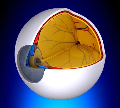 test for macular degeneration