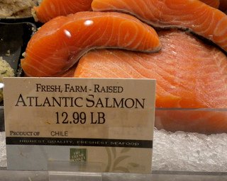 Atlantic or wild caught salmon health benefits